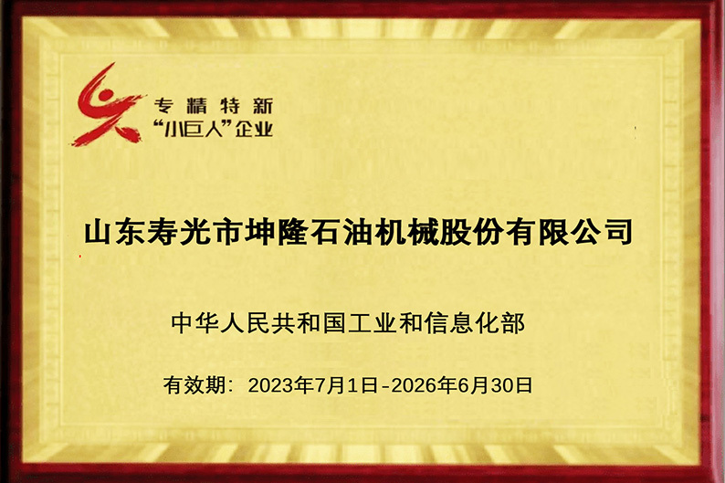 专精特新小巨人企业荣誉牌匾